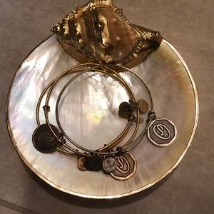 ALEX AND ANI “O”